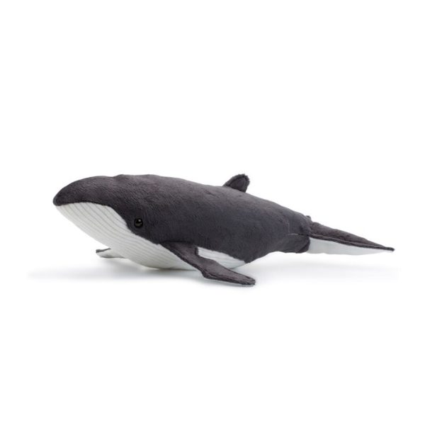 Ballena jorobada